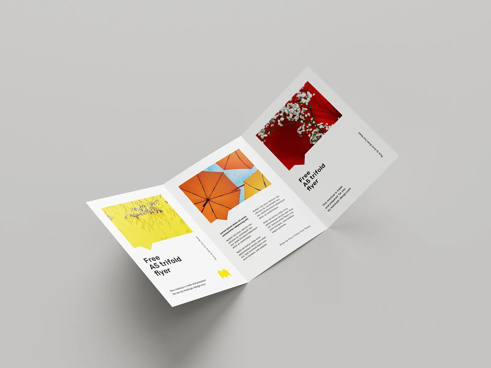 3 fold brochure printing